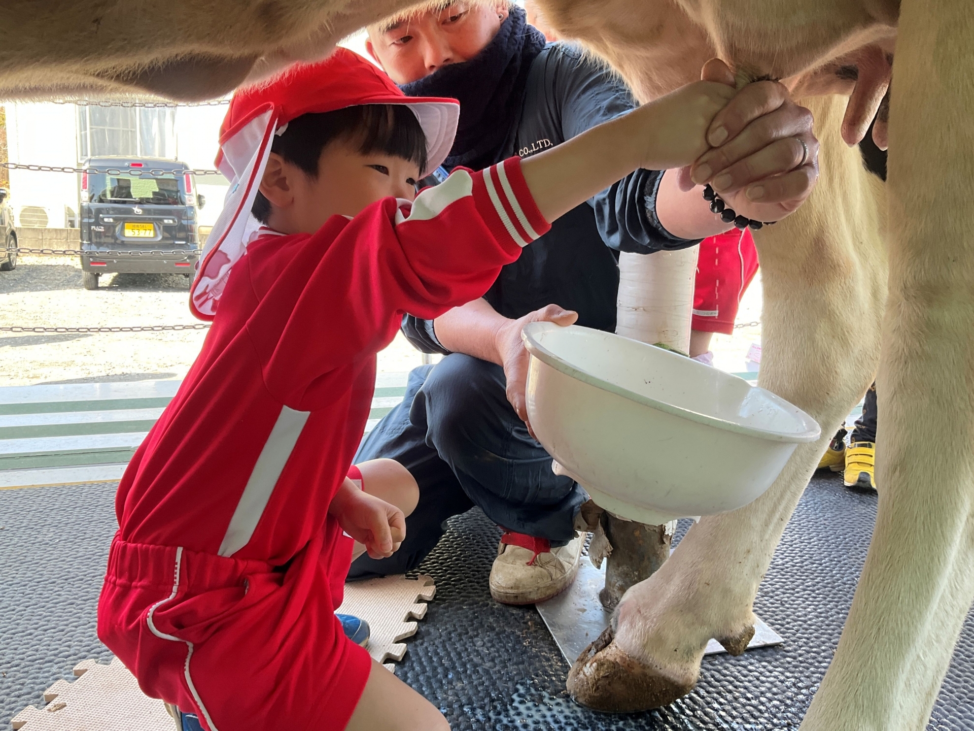 搾乳体験！ | TOPICS | 平塚市の幼稚園「つくし幼稚園」